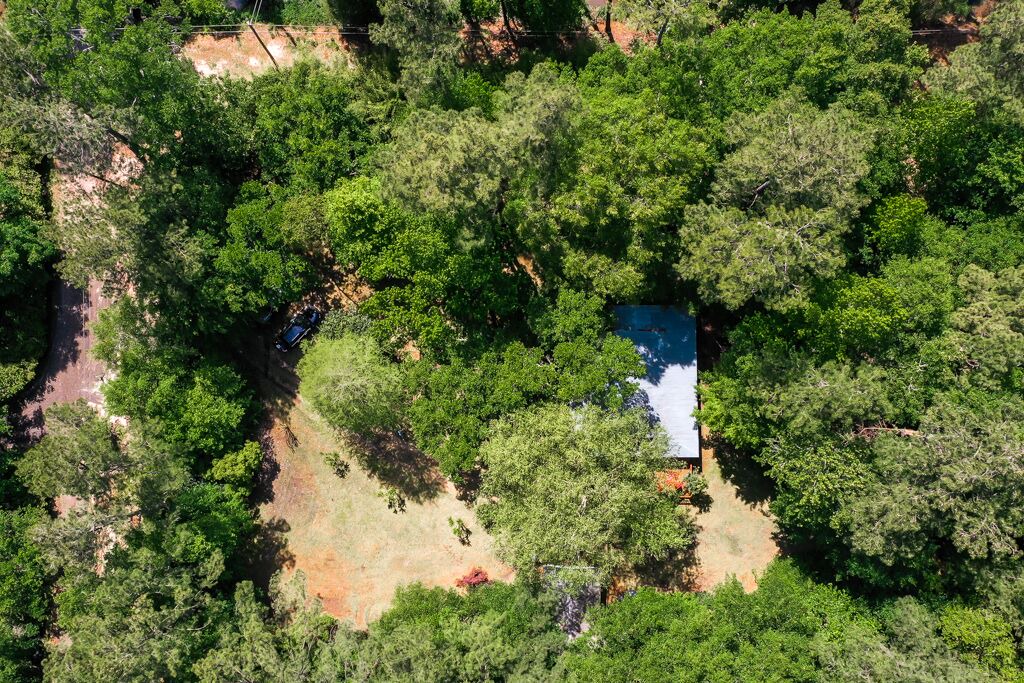 Photo of Outdoor in Abita Springs