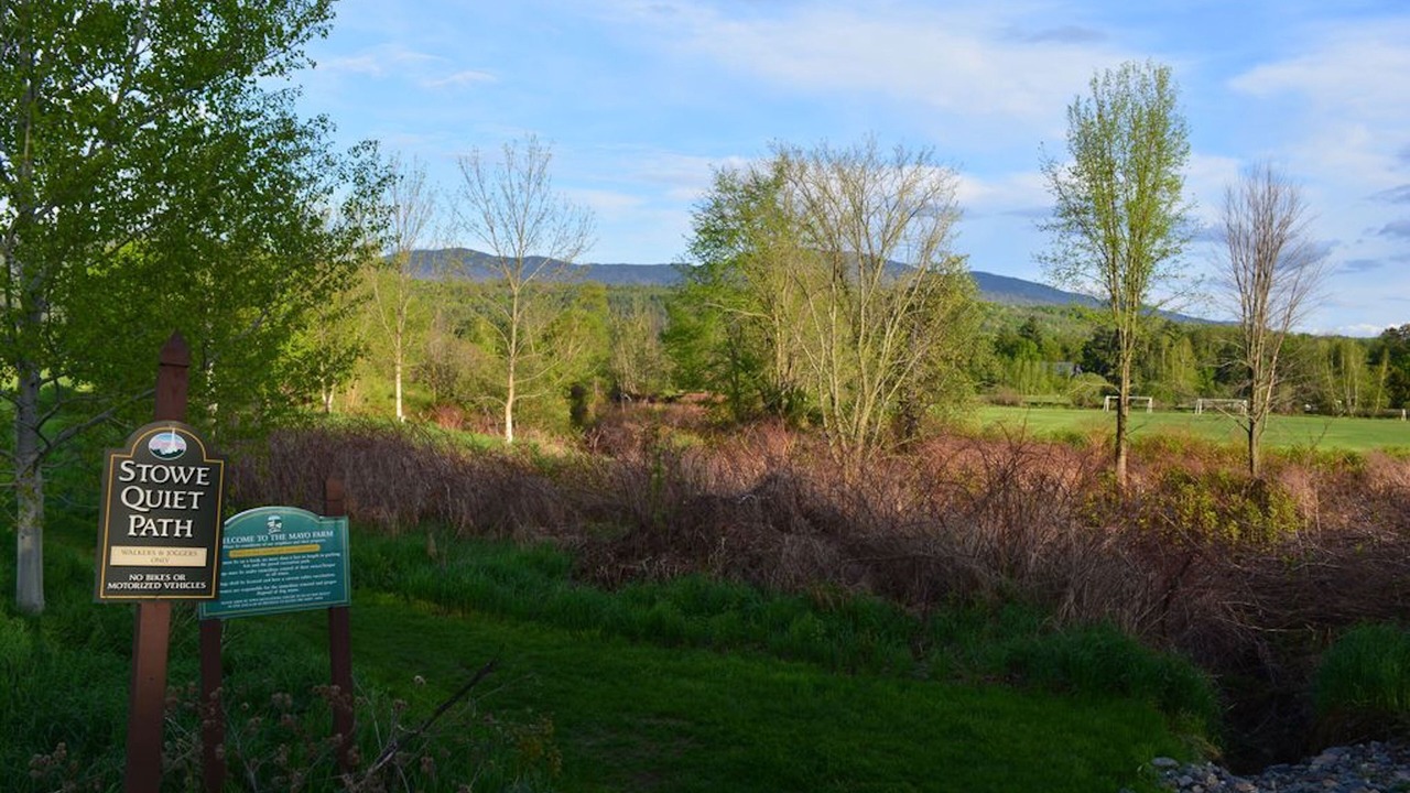 Photo of Outdoor in Stowe Area