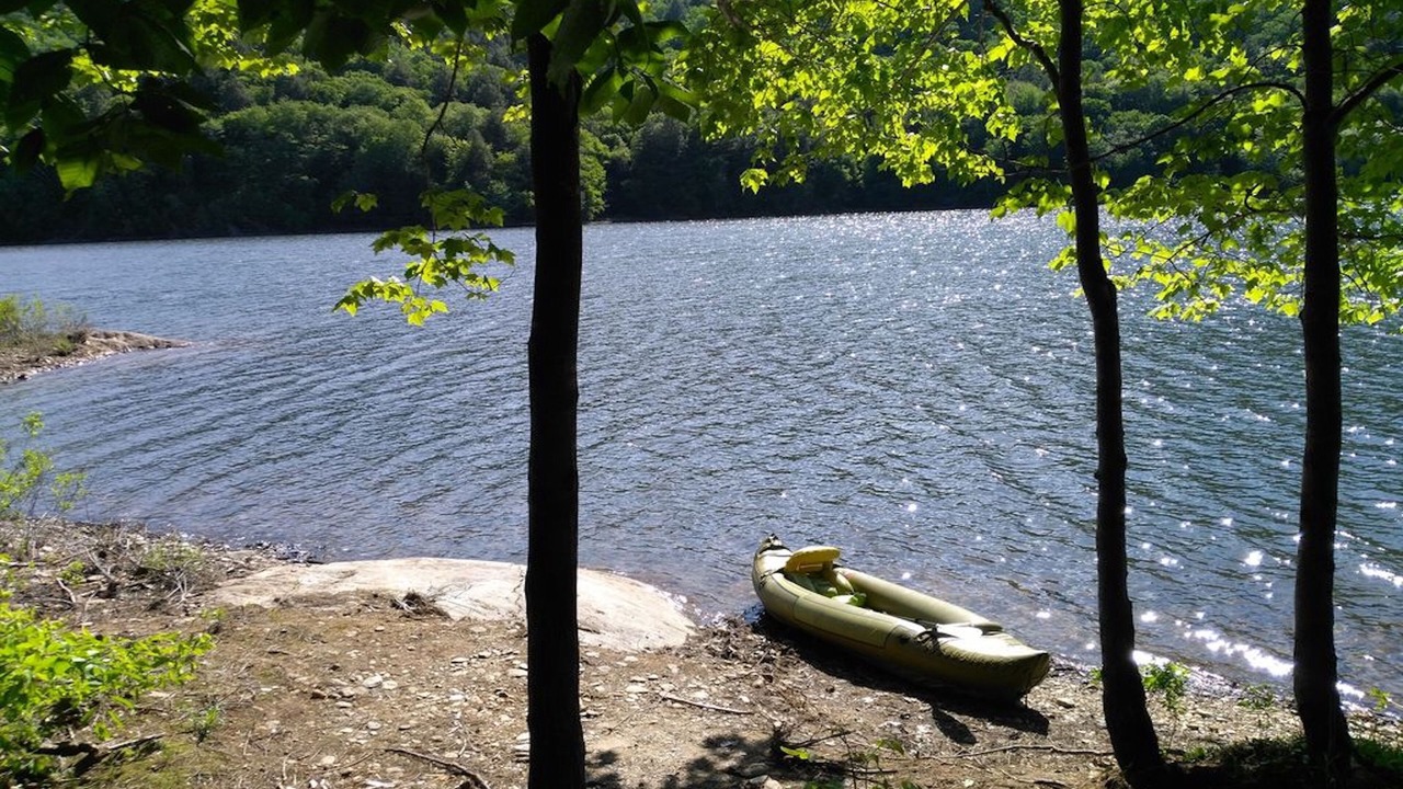 Photo of Others in Stowe Area