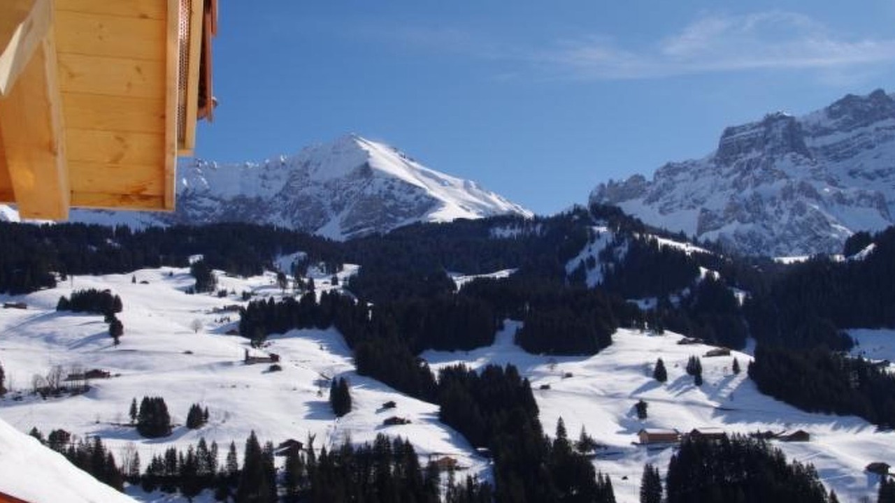 Photo of Others in Adelboden
