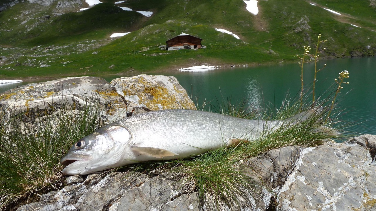 Photo of Outdoor in Lenk