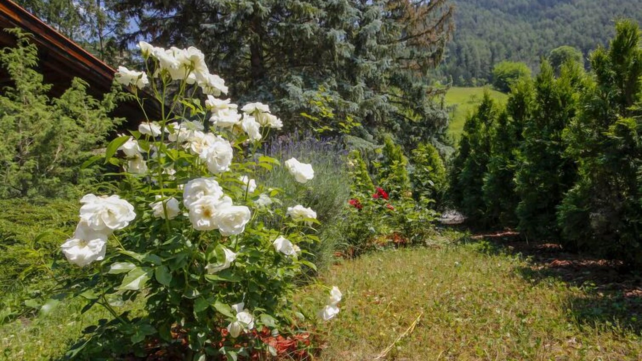 Photo of Outdoor in Ried im Oberinntal