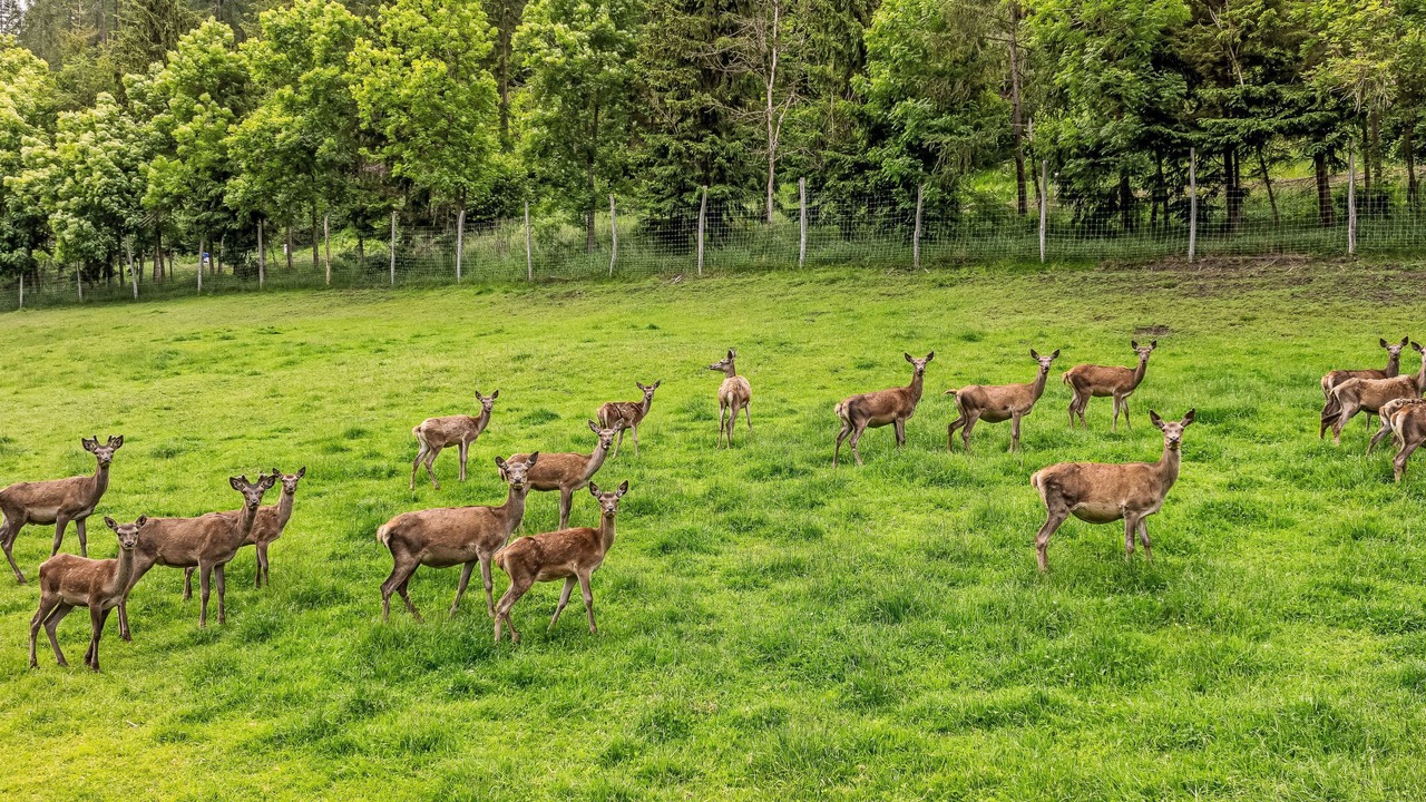 Photo of Outdoor in Heiligenblut