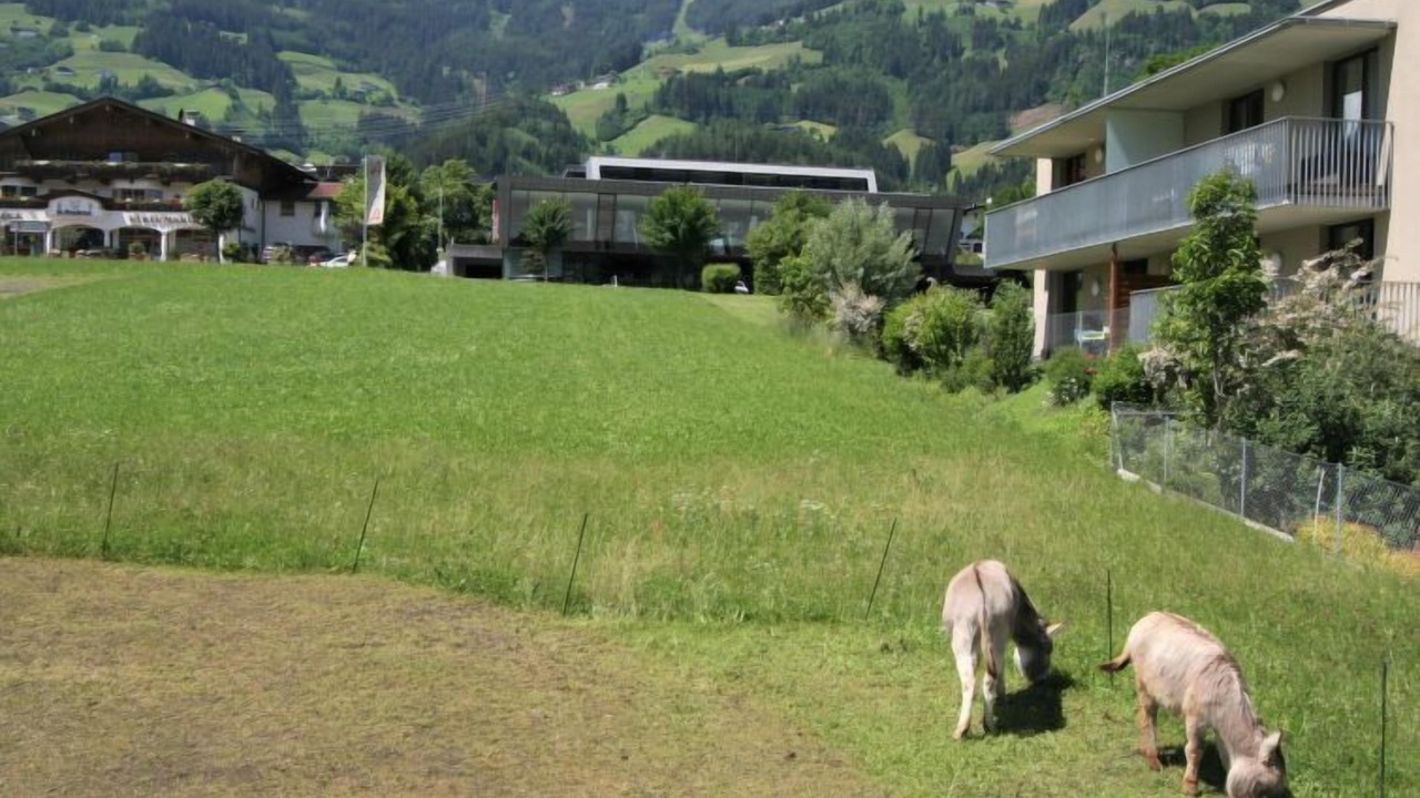 Photo of Outdoor in Fuegen