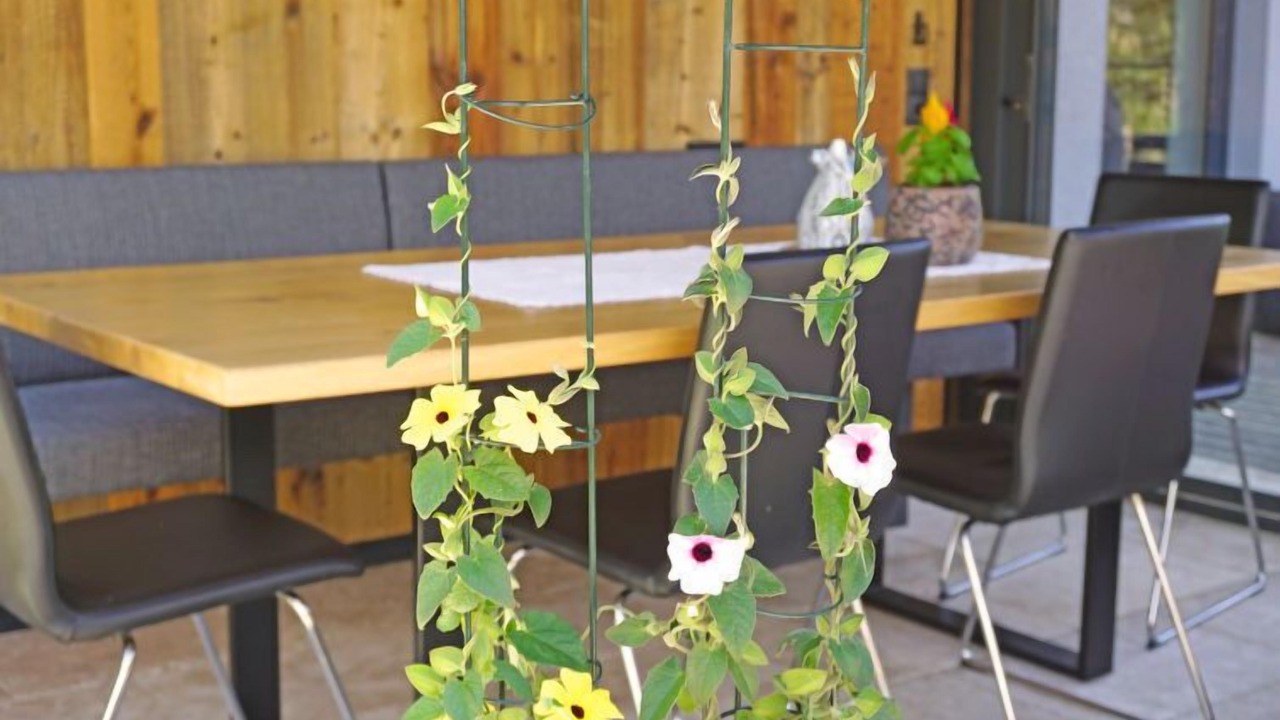 Photo of Outdoor in Fliess