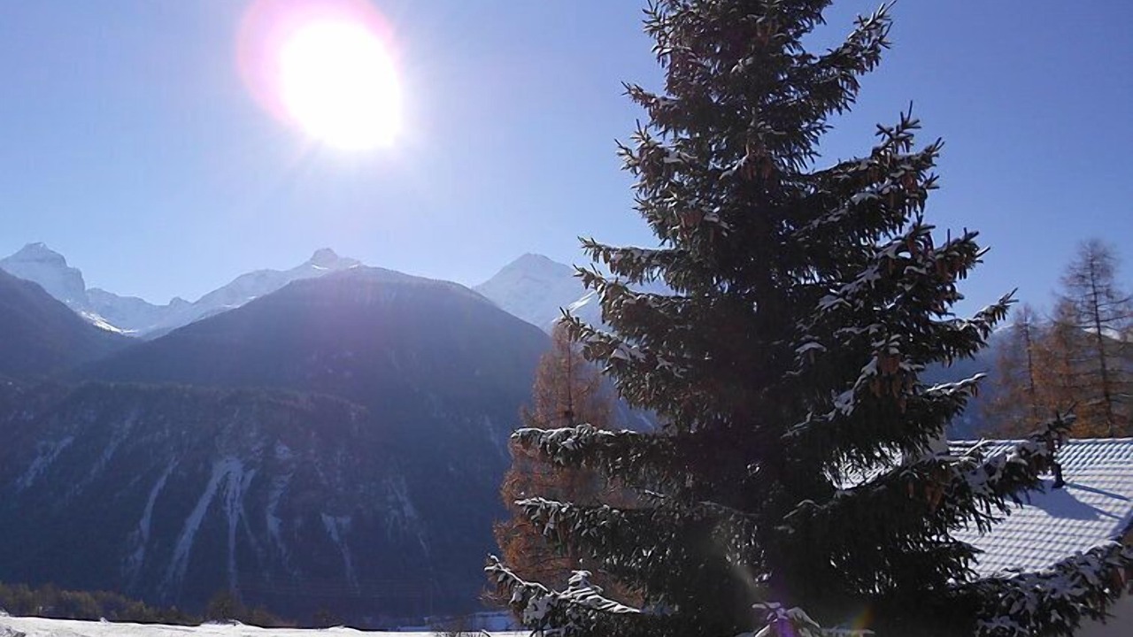 Photo of Outdoor in Schmitten