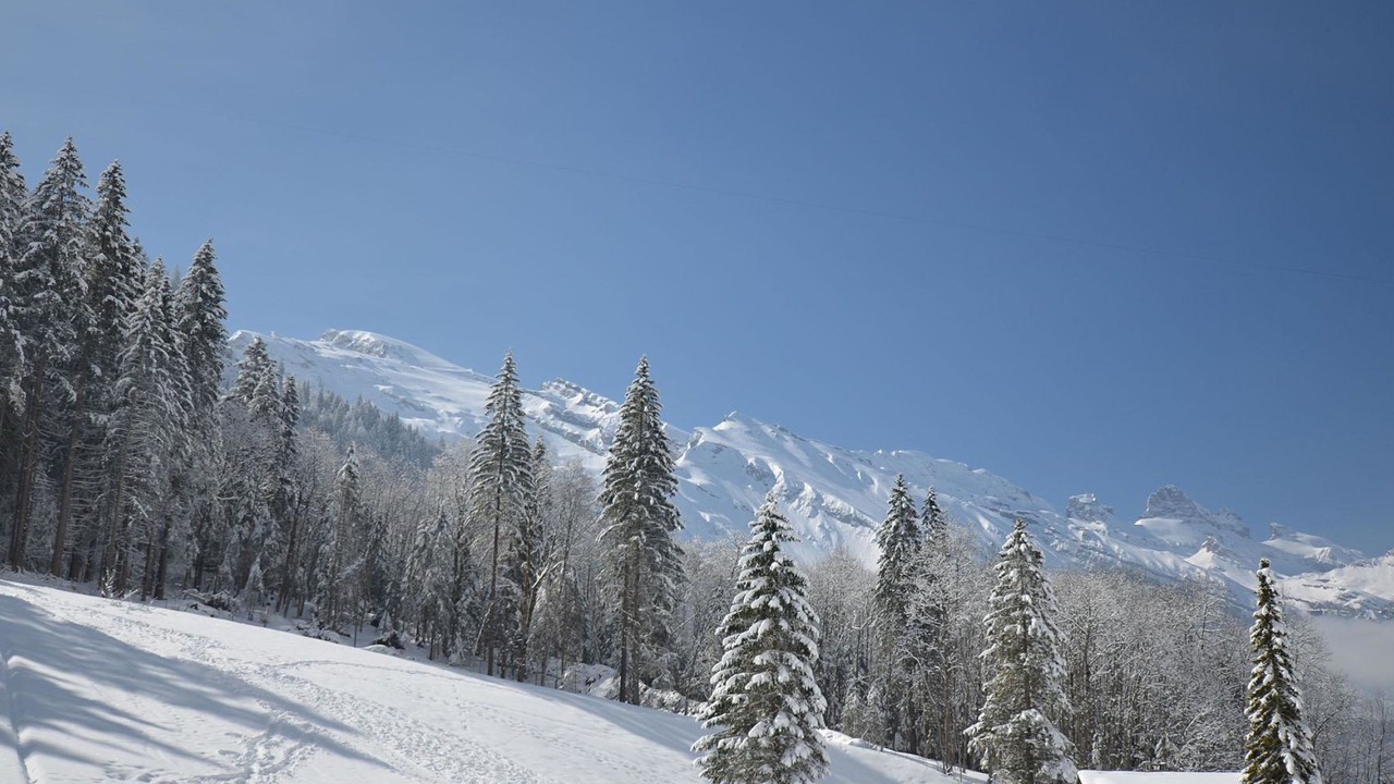 Photo of Others in Engelberg