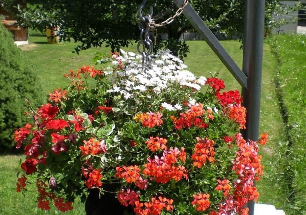 Photo of Outdoor in Reckingen