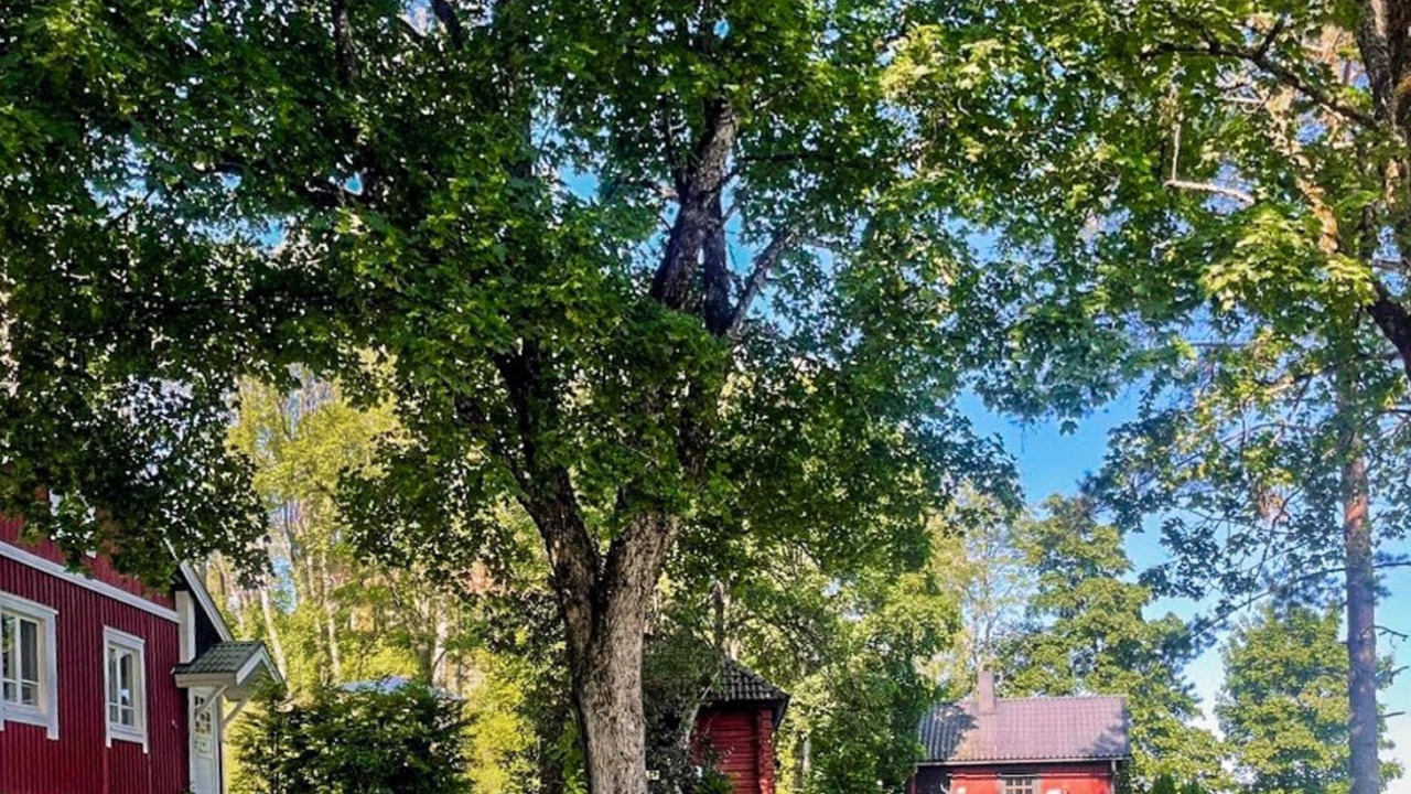 Photo of Outdoor in Somero