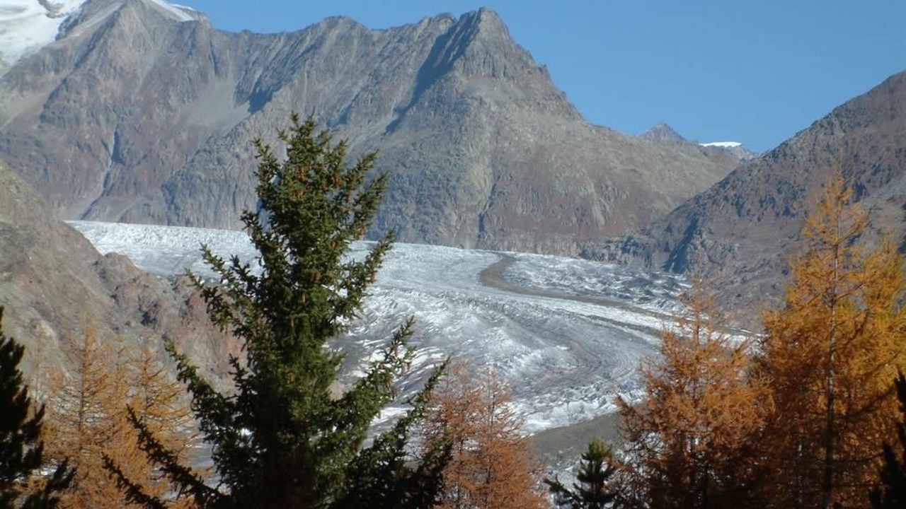 Photo of Others in Riederalp