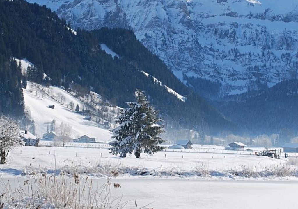 Photo of Others in Lenk