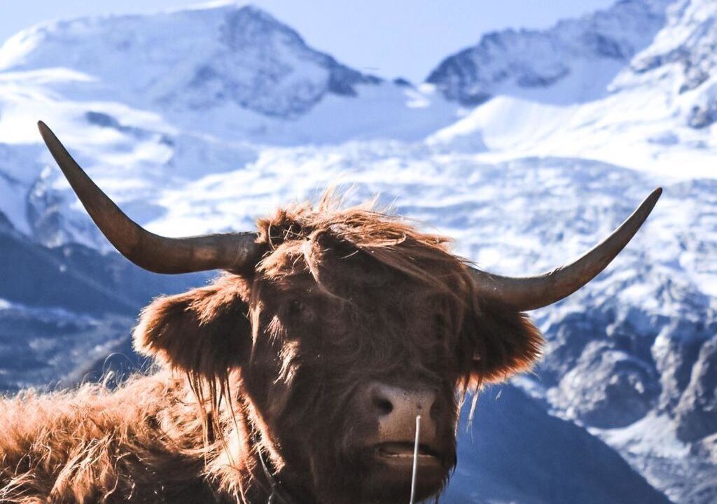 Photo of Others in Saas-Fee