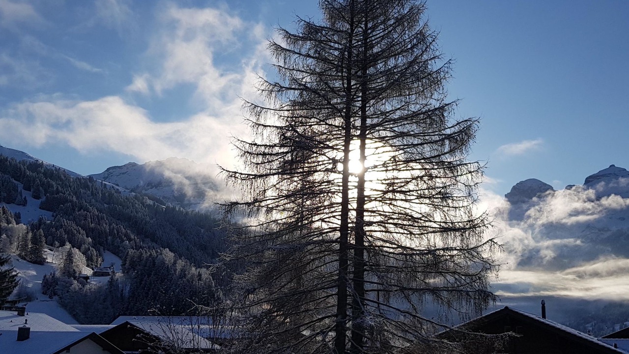 Photo of Others in Lenk