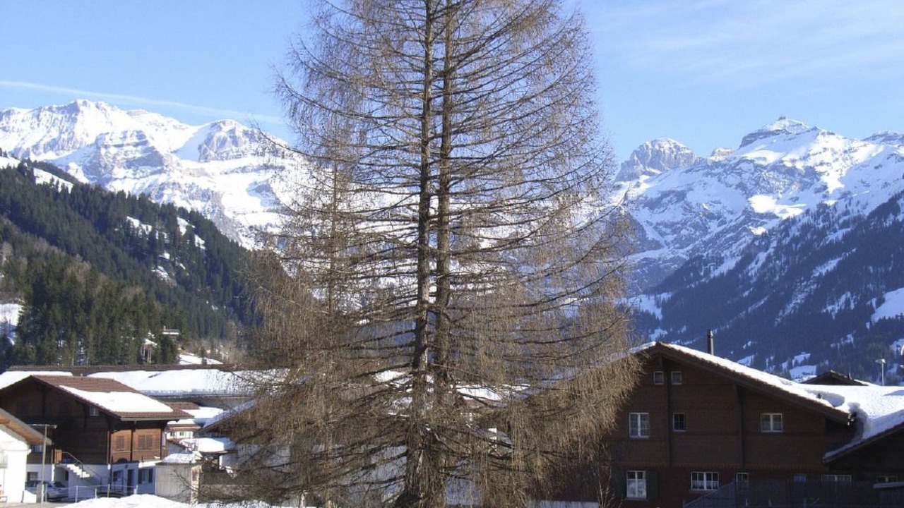 Photo of Outdoor in Lenk