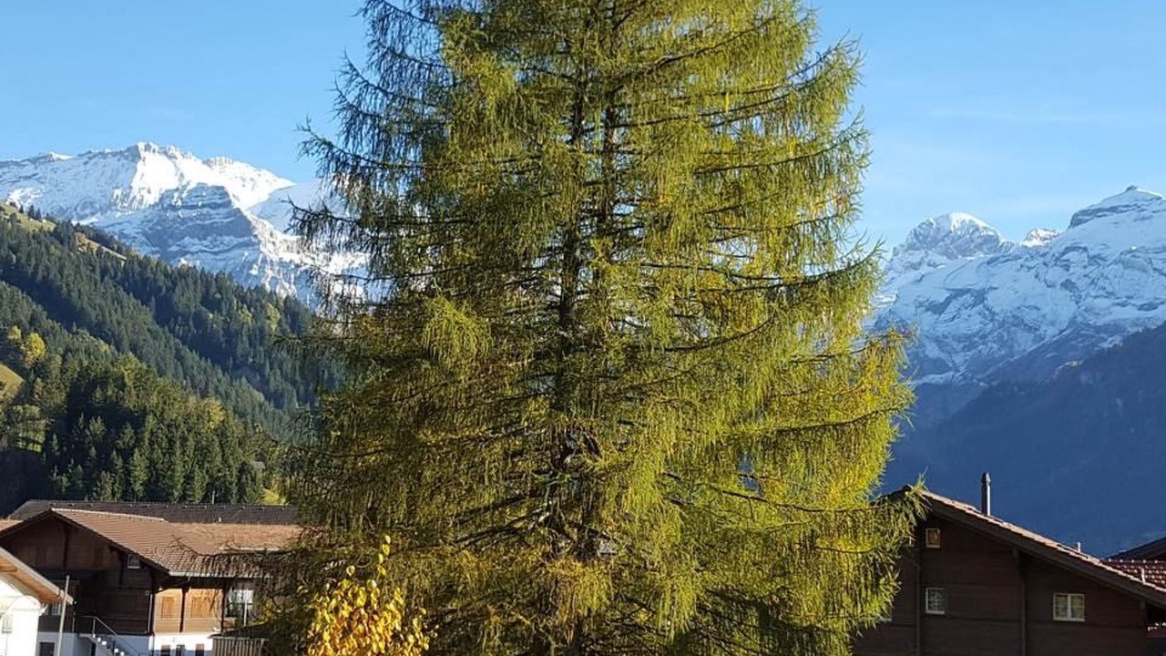 Photo of Outdoor in Lenk