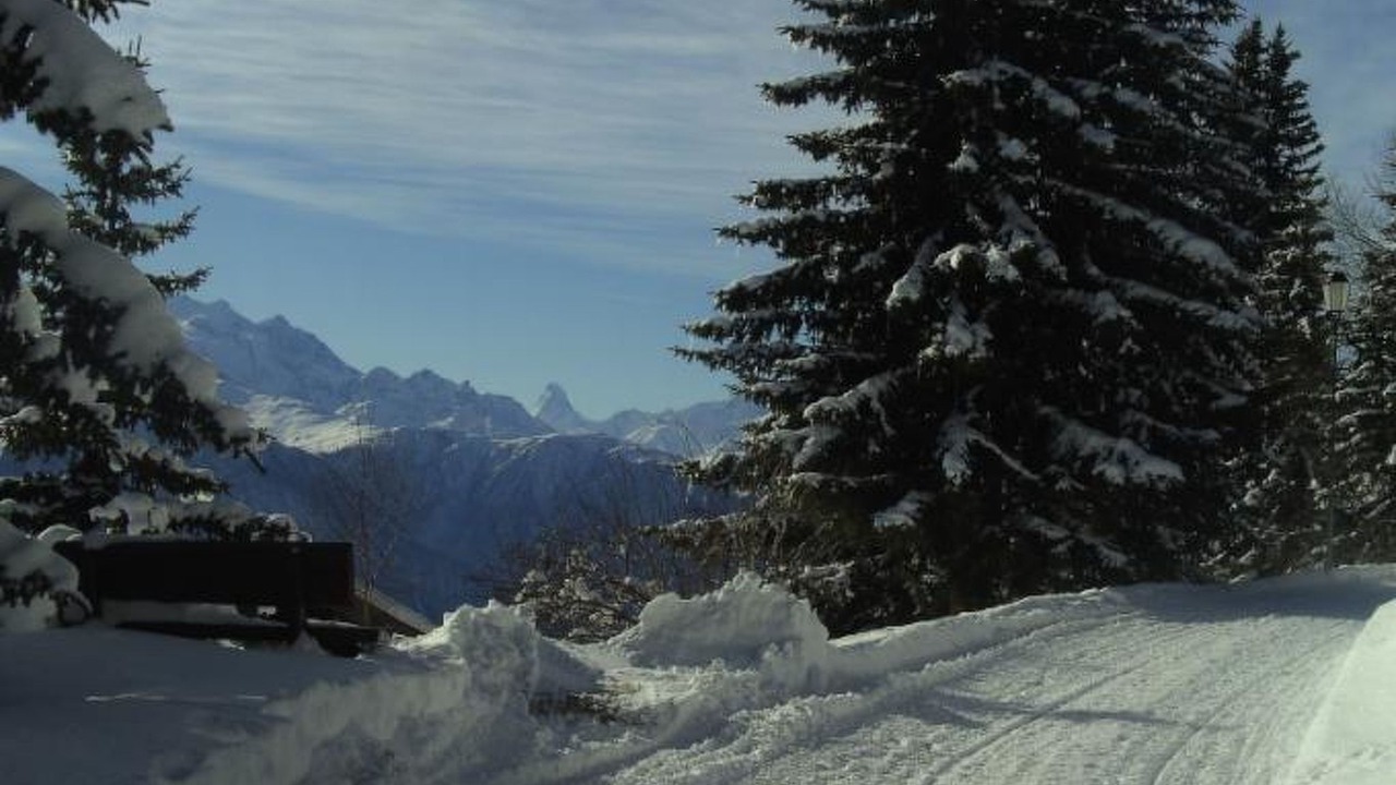 Photo of Others in Riederalp