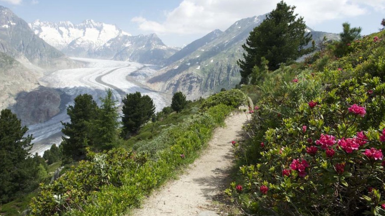 Photo of Others in Riederalp