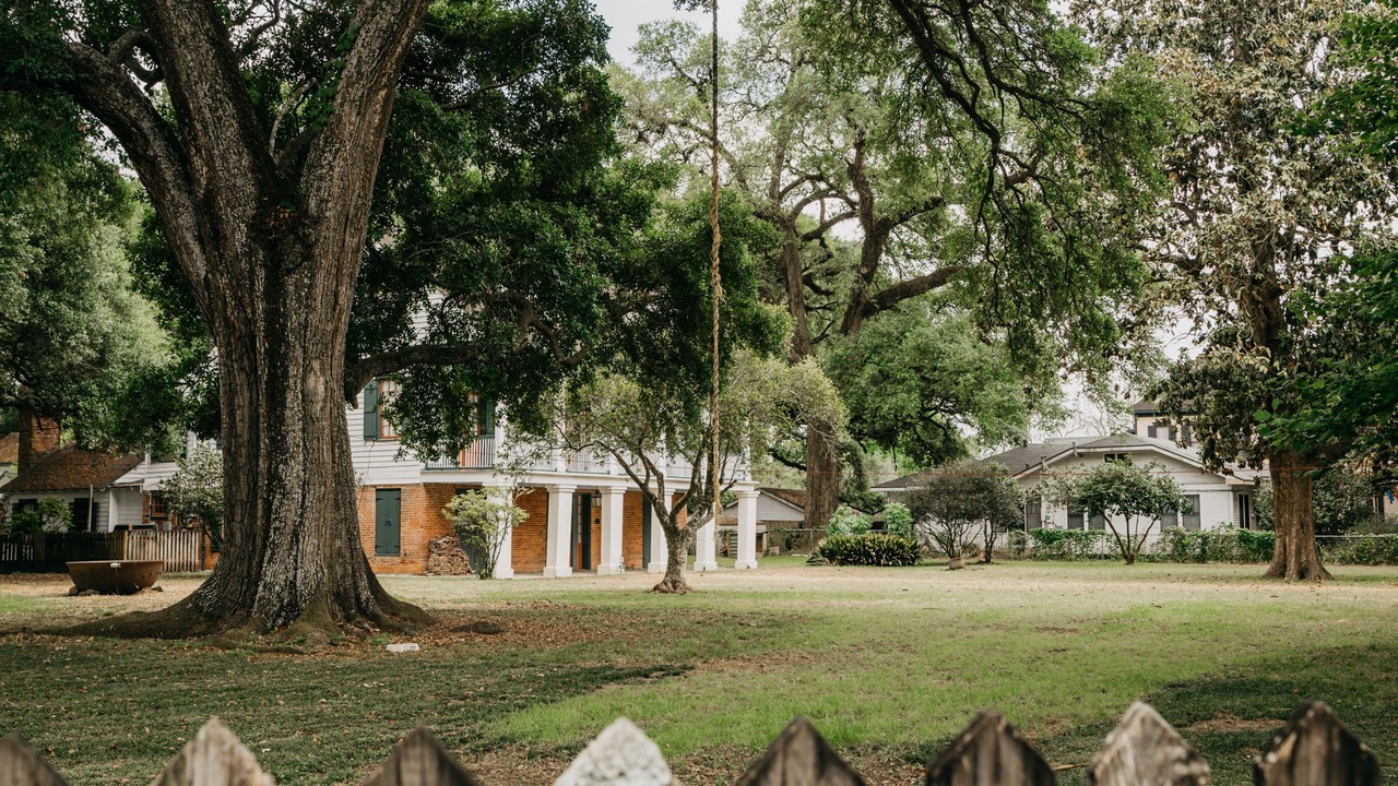 Photo of Others in Lafayette