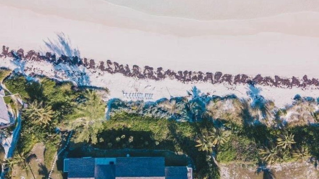Photo of Others in Savannah Sound
