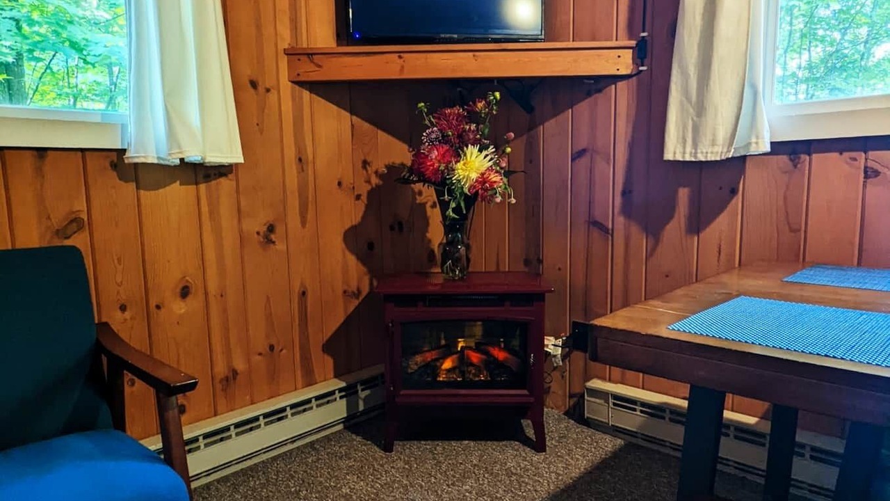 Photo of Livingroom in Phelps