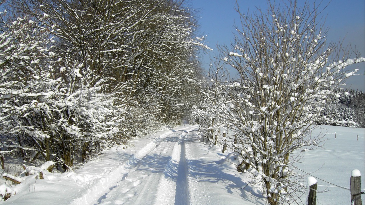 Photo of Outdoor in Wiehl