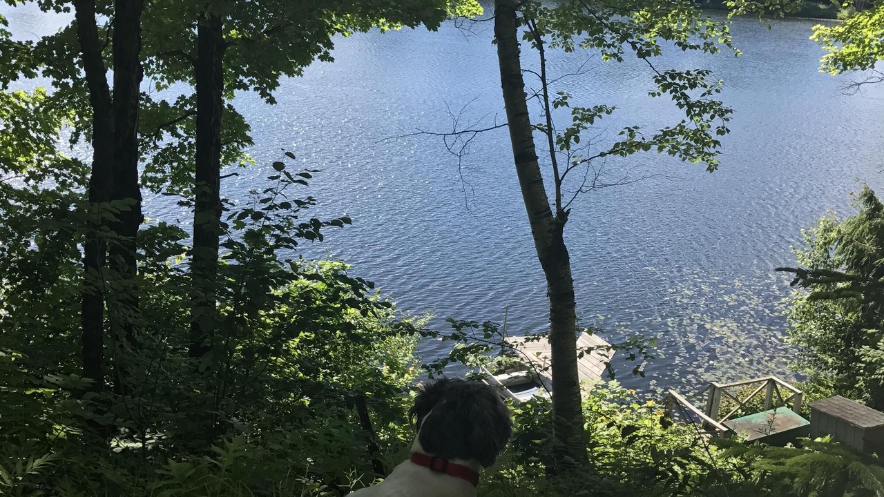 Photo of Outdoor in Stowe Area