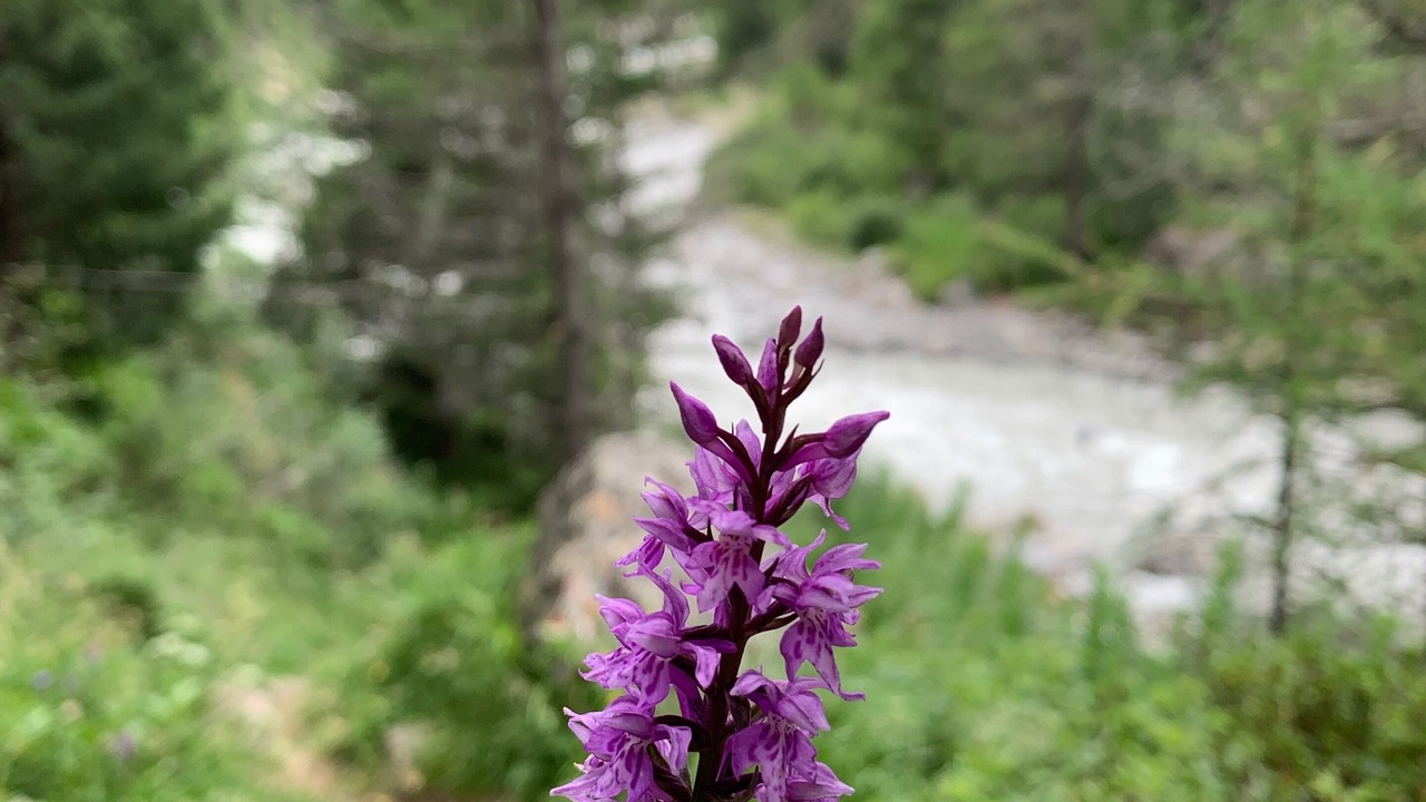 Photo of Outdoor in Zwieselstein