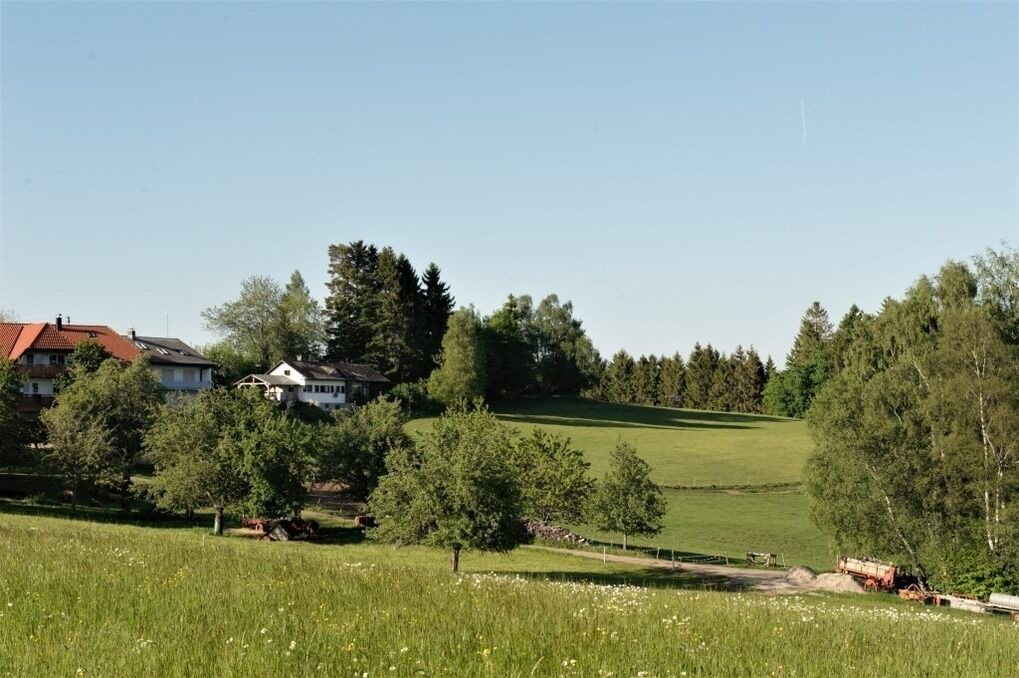 Photo of Others in Wolpadingen