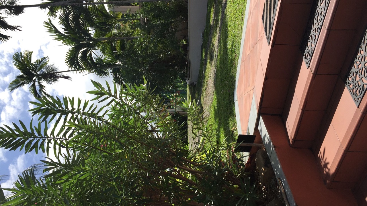 Photo of Outdoor in Port Maria