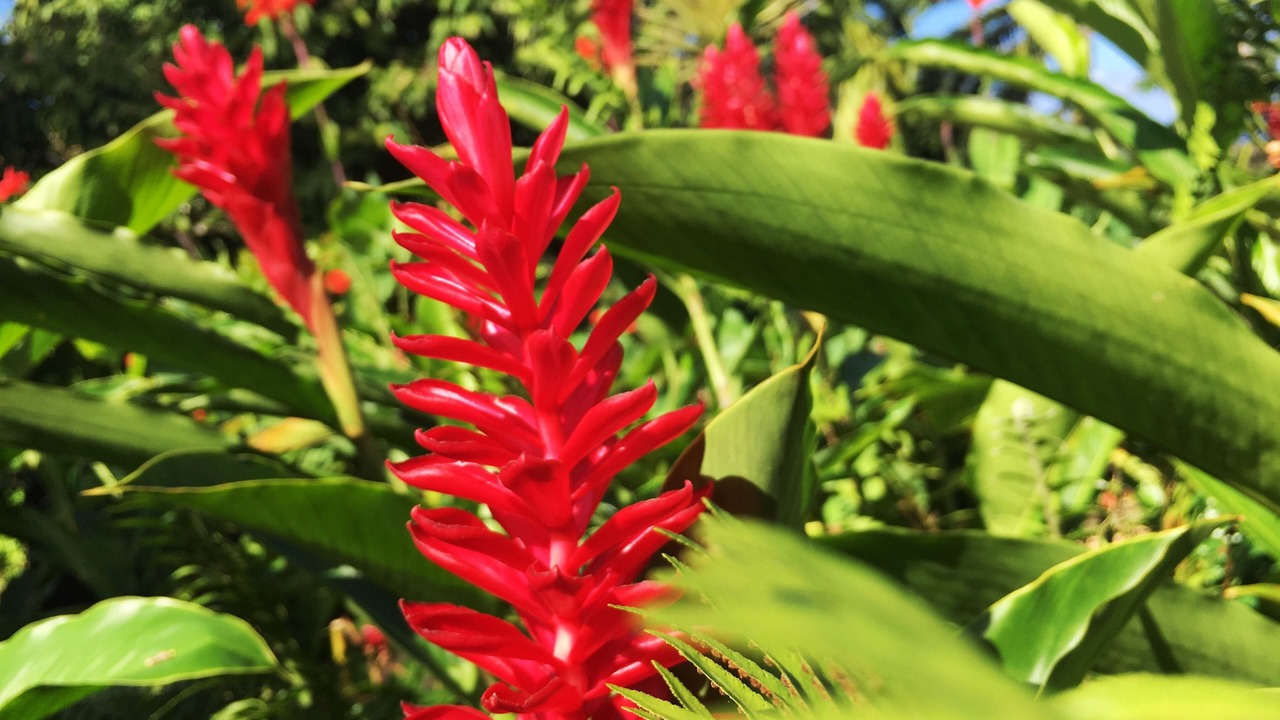 Photo of Outdoor in Port Maria