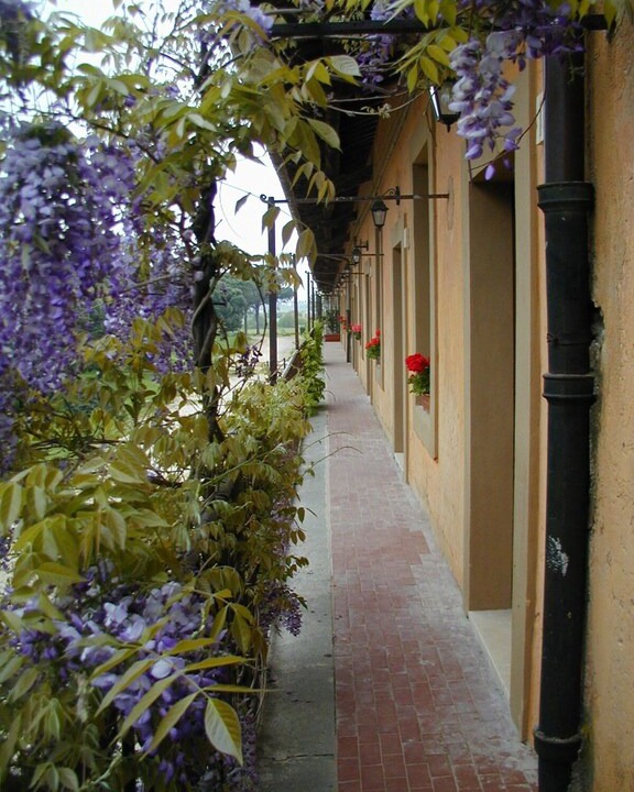 Photo of Others in Monte Compatri