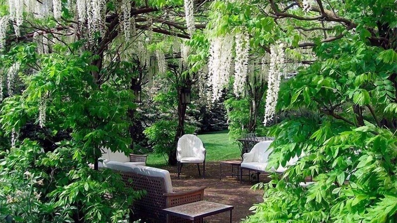 Photo of Outdoor in Cori
