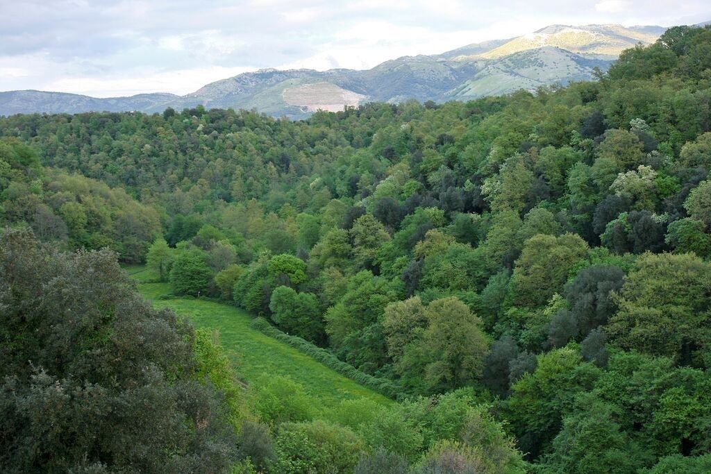 Photo of Outdoor in Cori
