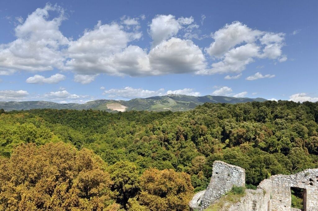 Photo of Outdoor in Cori