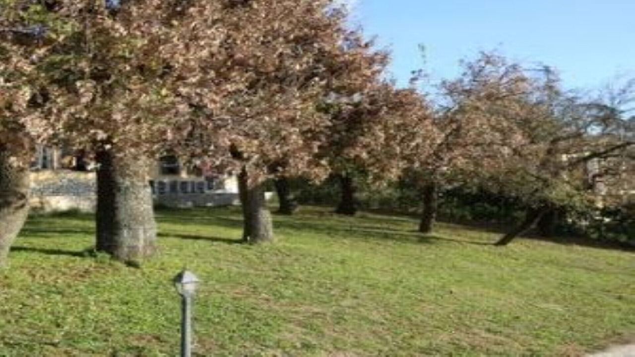 Photo of Outdoor in Formello