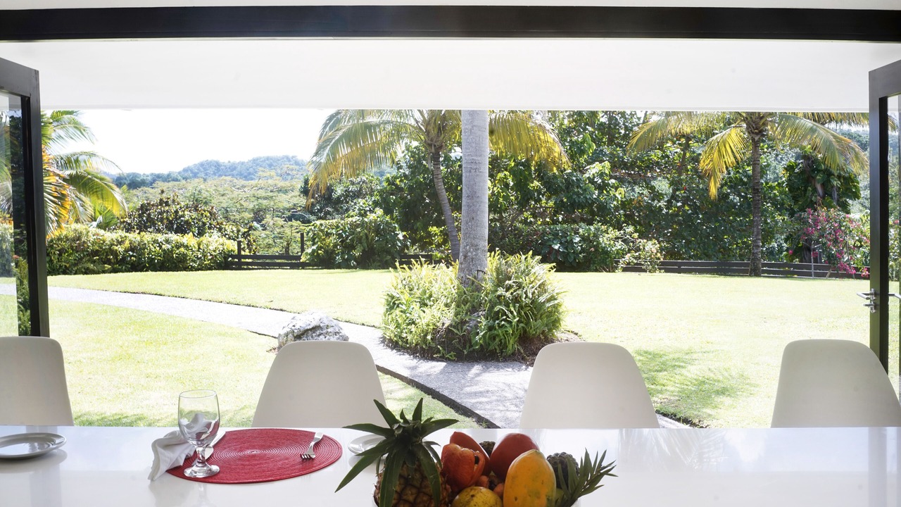 Photo of Outdoor in Port Antonio