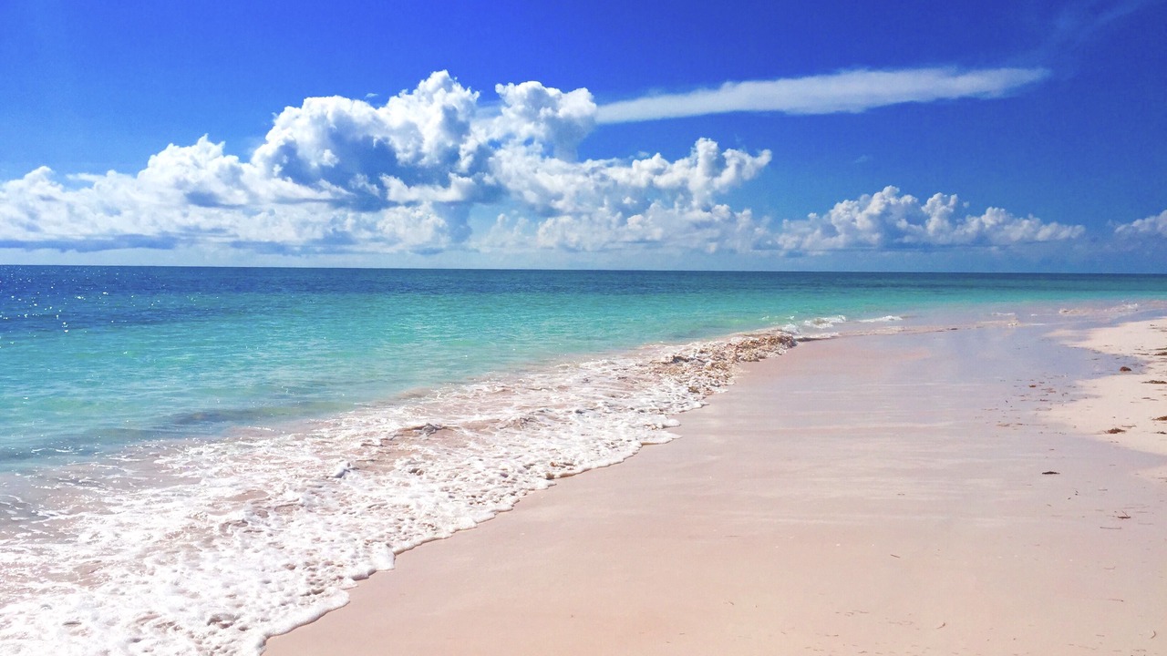 Photo of Outdoor in Savannah Sound