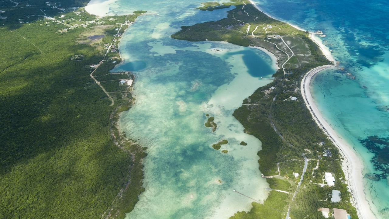 Photo of Others in Savannah Sound