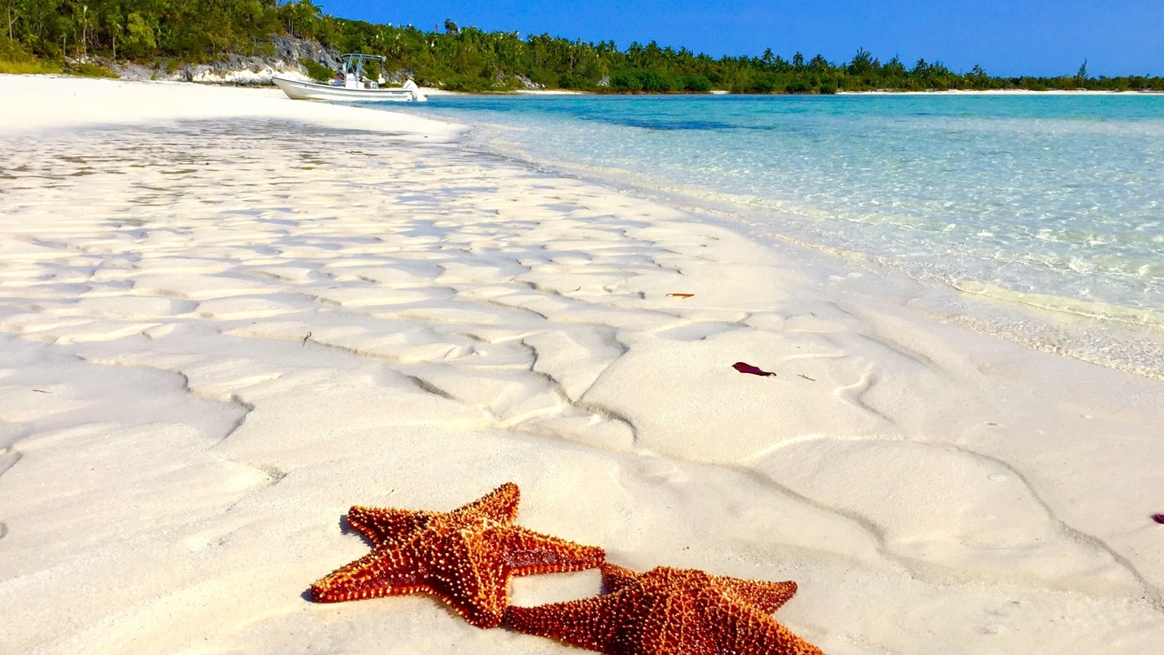Photo of Outdoor in Savannah Sound