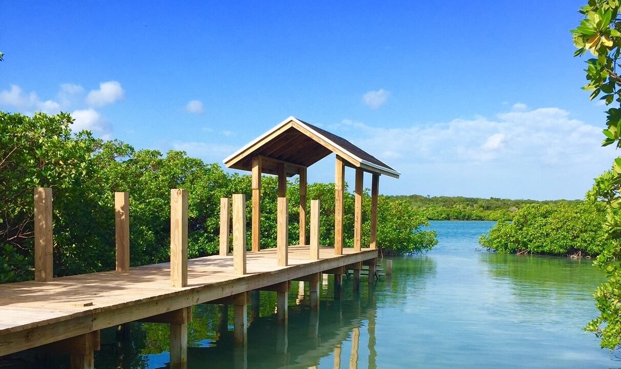 Photo of Outdoor in Savannah Sound