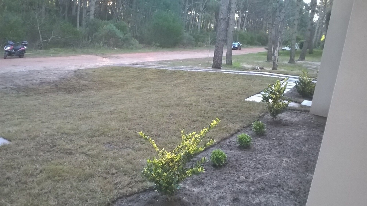 Photo of Outdoor in Punta Ballena