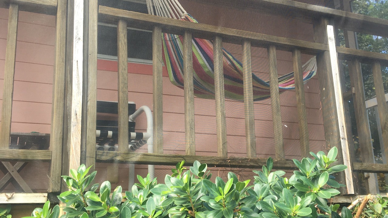 Photo of Outdoor in Morris Settlement
