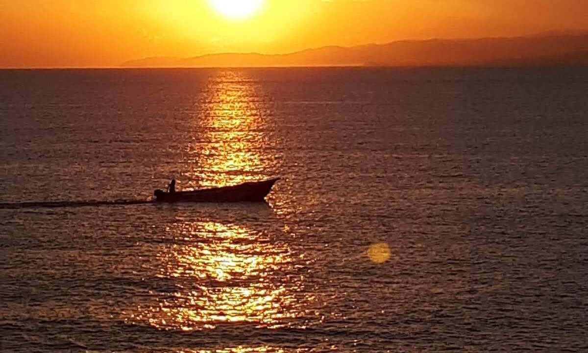 Photo of Others in Robins Bay