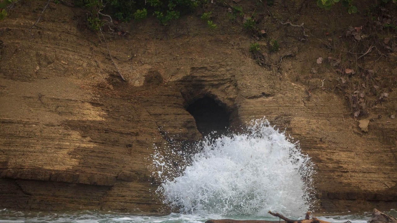 Photo of Others in Robins Bay