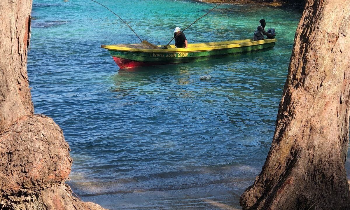 Photo of Others in Robins Bay