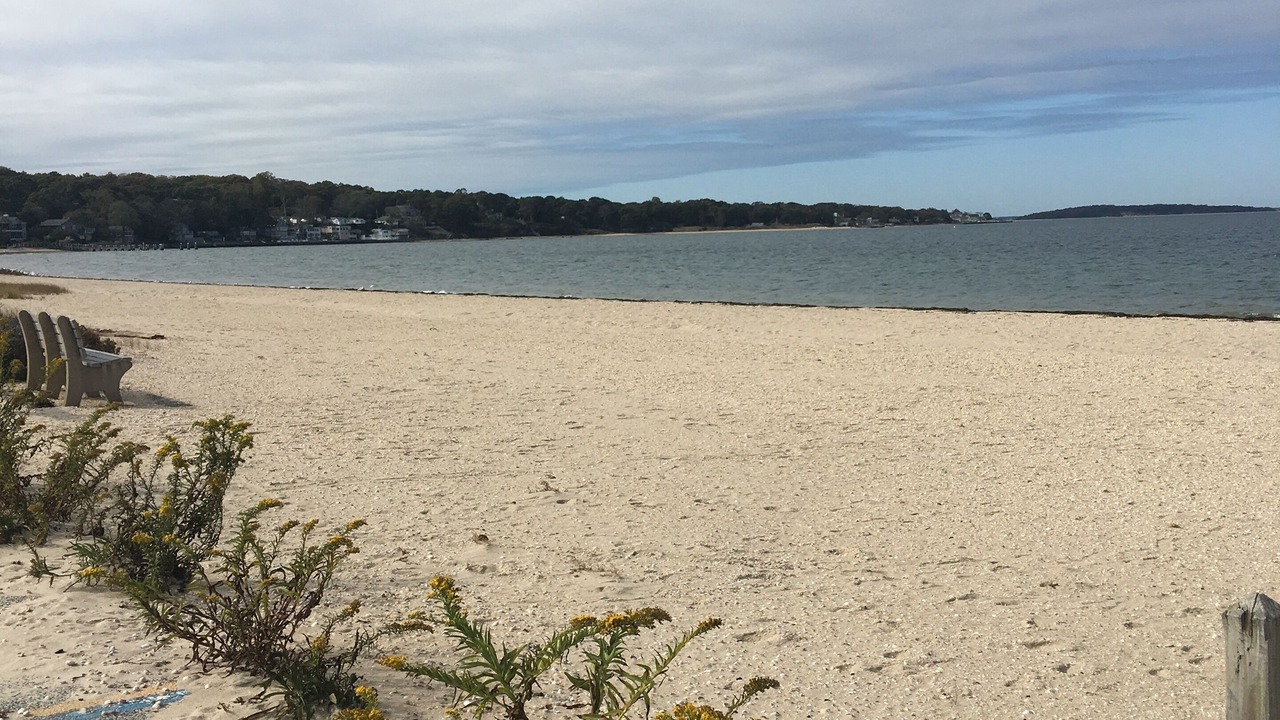 Photo of Others in Sag Harbor