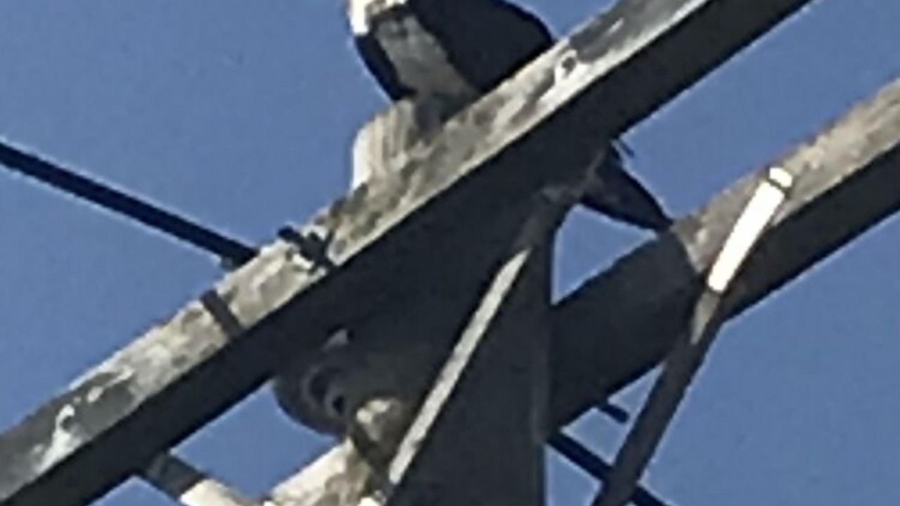 Photo of Others in Sag Harbor