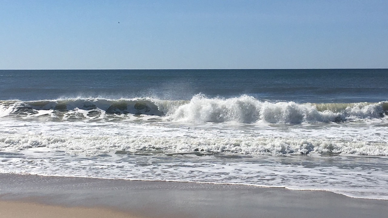 Photo of Others in Sag Harbor