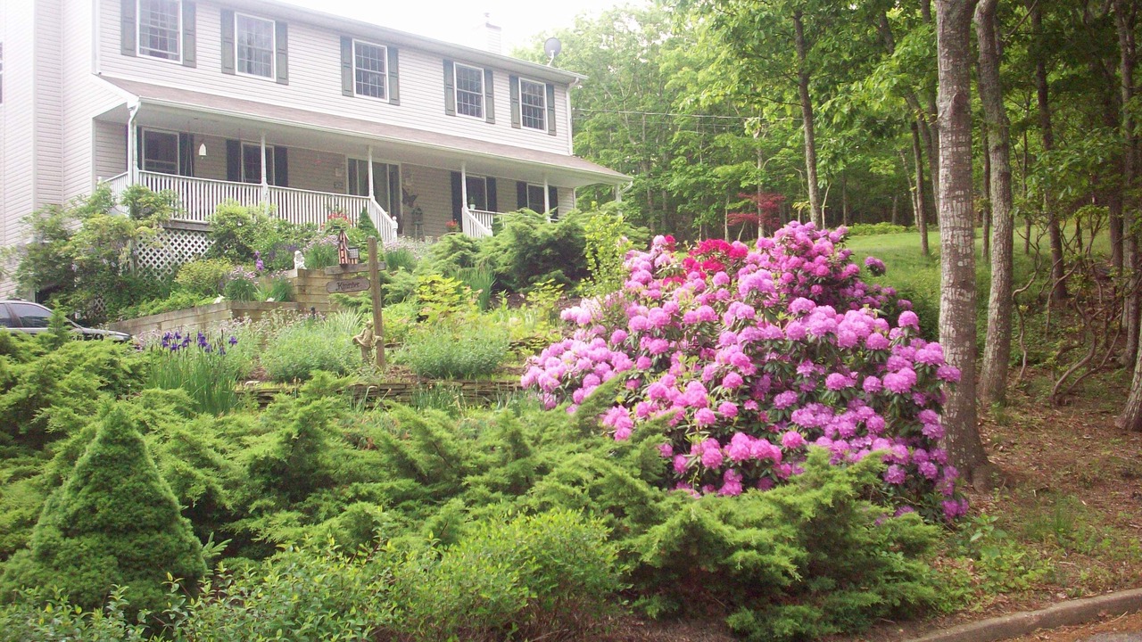 Photo of Outdoor in Sag Harbor