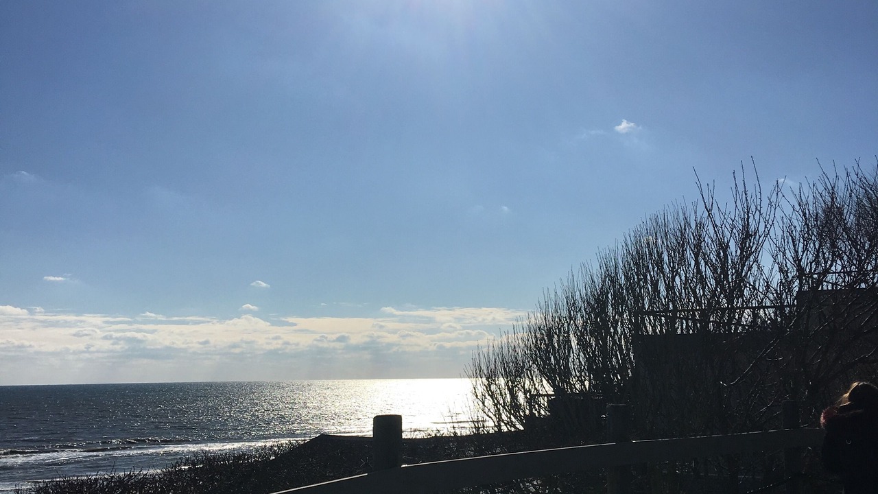 Photo of Others in Sag Harbor